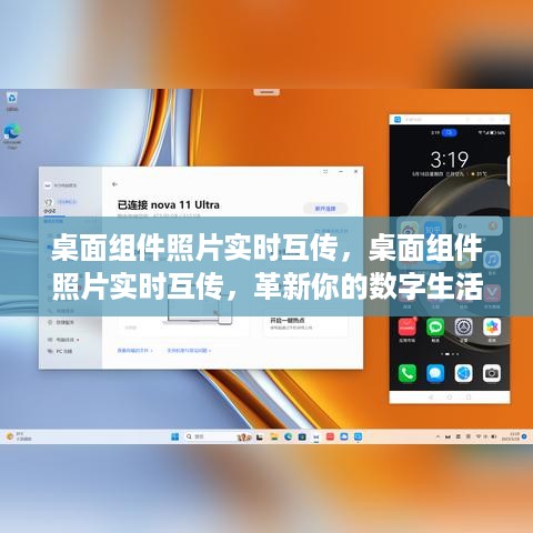 寥若晨星 第3页