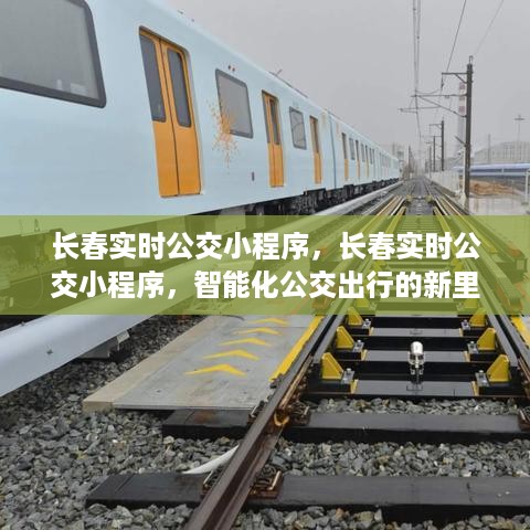 贵险贱璧 第3页
