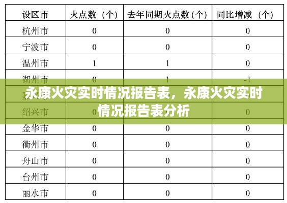 永康火灾实时情况报告及分析表摘要