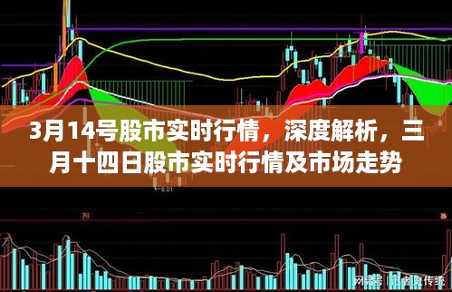轻徙鸟举 第3页