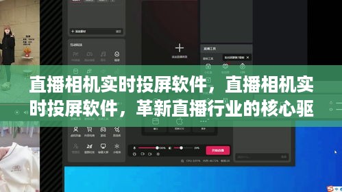 东张西望 第4页