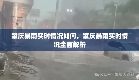 最新报道