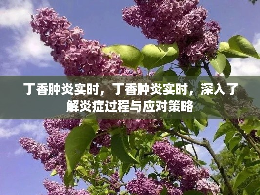 鸟栖虫居 第3页