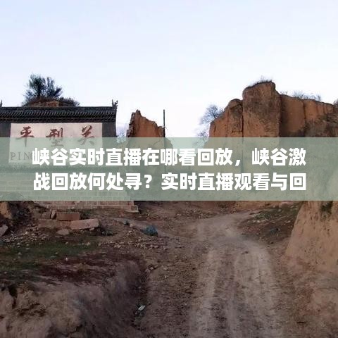 峡谷激战直播回顾与实时观看指南，观看回放，何处寻？