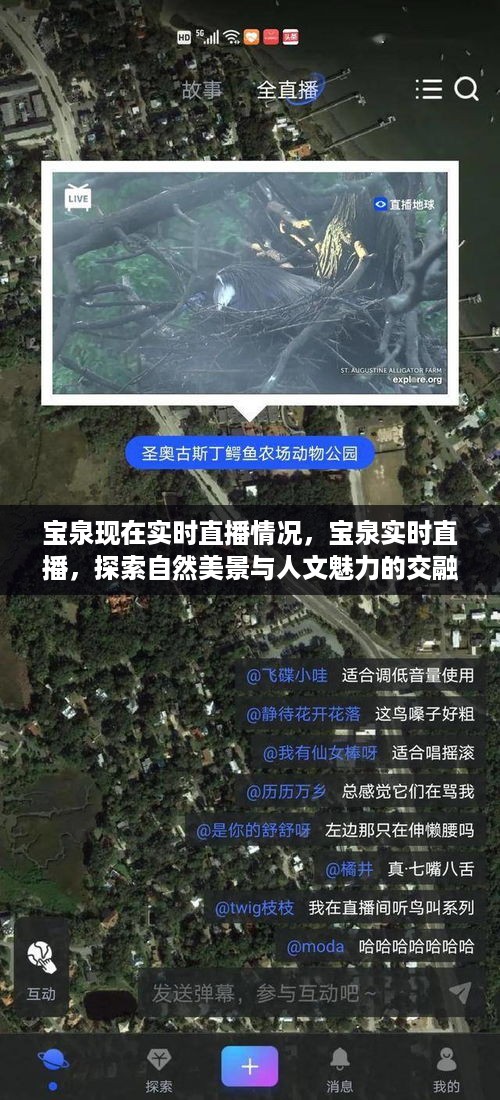 精雕细刻 第3页
