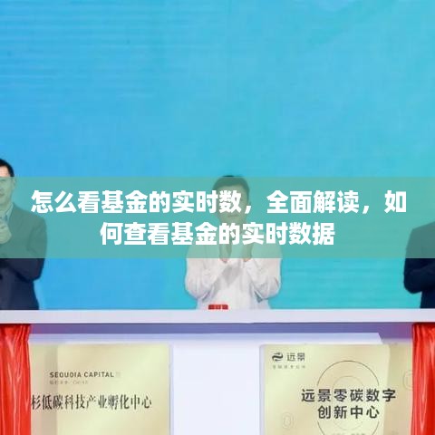 无冬无夏 第3页