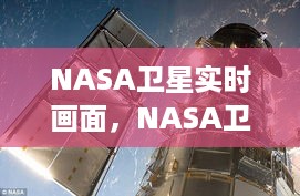 惨淡经营 第3页