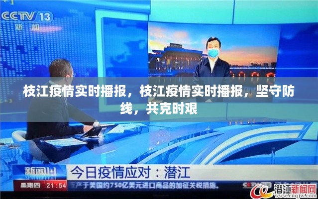 枝江疫情实时播报，坚守防线，共克时艰