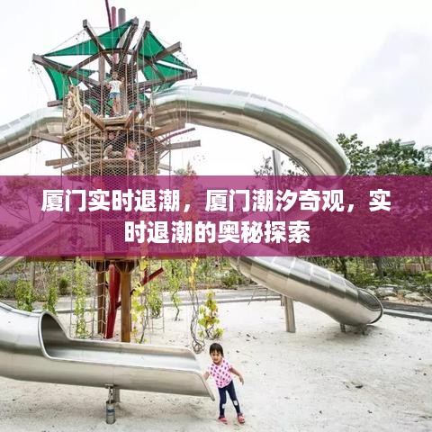 厦门潮汐奇观，探索实时退潮的奥秘