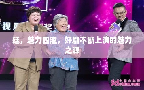 廷，魅力四溢，好剧不断上演的魅力之源