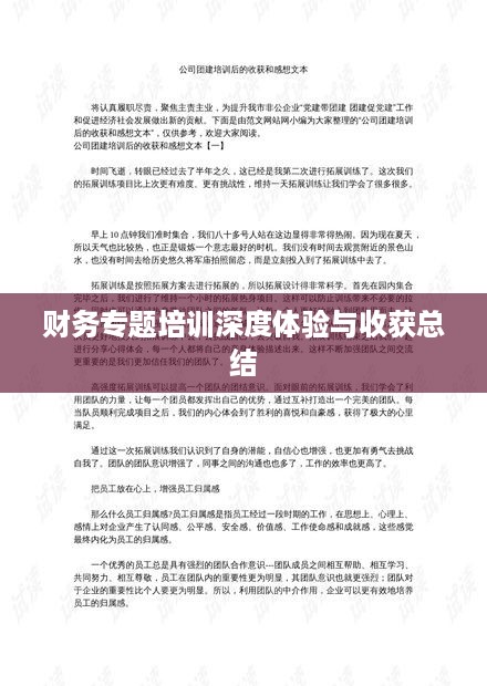 财务专题培训深度体验与收获总结