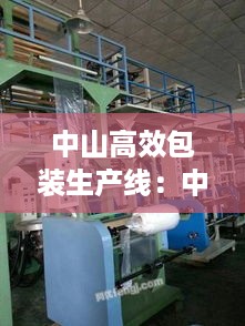 虚张声势 第3页