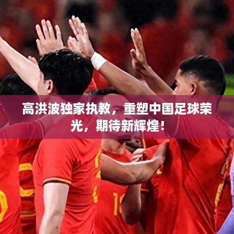 成功案例 第303页