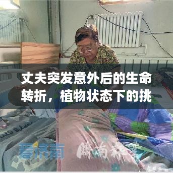 丈夫突发意外后的生命转折，植物状态下的挑战与希望的曙光
