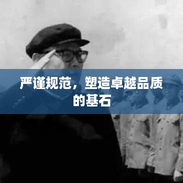 严谨规范，塑造卓越品质的基石