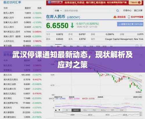 武汉停课通知最新动态，现状解析及应对之策