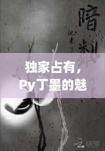 独家占有，Py丁墨的魅力世界