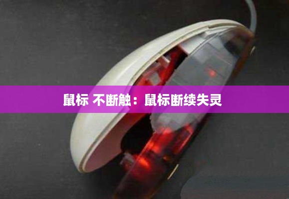 成功案例 第295页