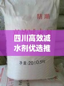 在线报名 第304页