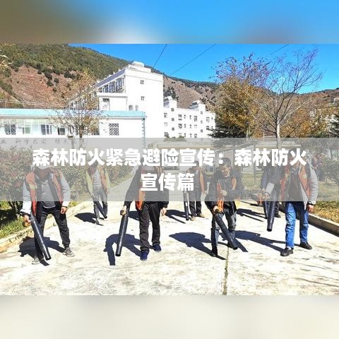 韦编三绝 第3页