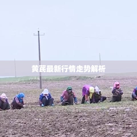 成功案例 第287页
