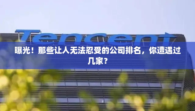 金石为开 第2页