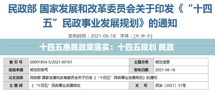 十四五惠民政策落实：十四五规划 民政 