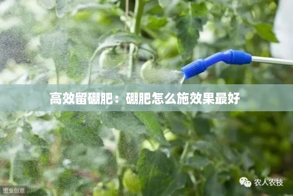 培训课程 第256页