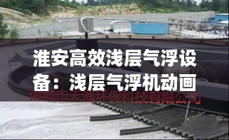 成功案例 第269页