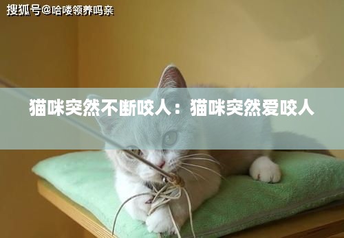 水浄鹅飞 第3页