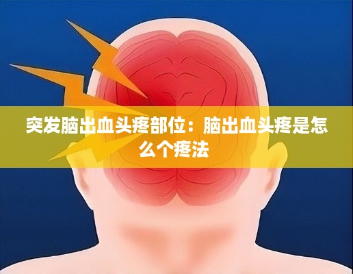 箪瓢陋巷 第2页