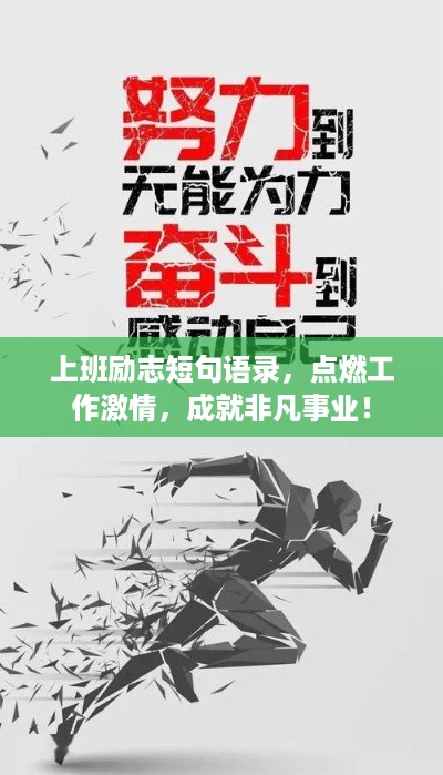 衣无二彩 第2页