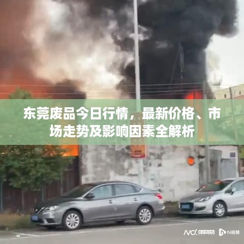 声如洪钟 第2页