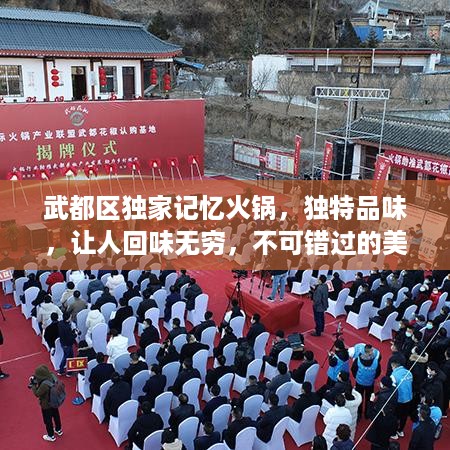 成功案例 第227页
