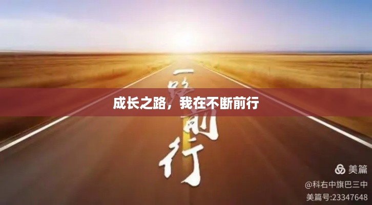 成功案例 第221页