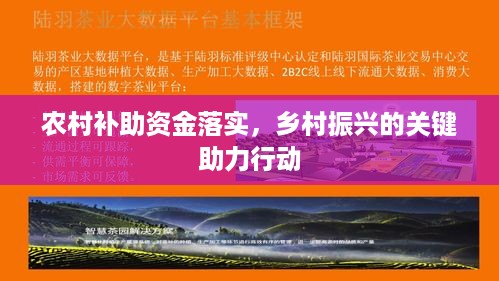 农村补助资金落实，乡村振兴的关键助力行动