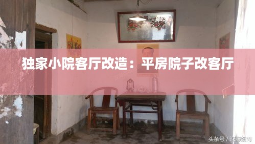 独家小院客厅改造：平房院子改客厅 