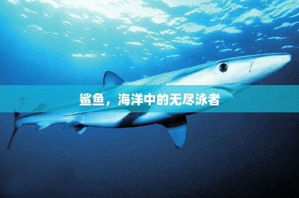 齿白唇红 第2页