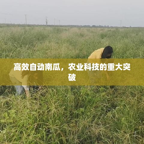 admin 第2页