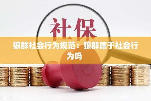 狼群社会行为规范：狼群属于社会行为吗 