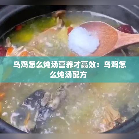 乌鸡怎么炖汤营养才高效：乌鸡怎么炖汤配方 