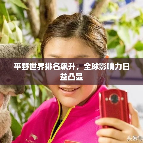 十全十美 第2页