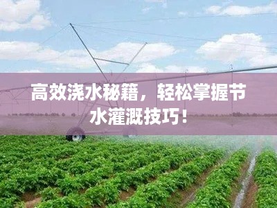 张狂妄行 第2页