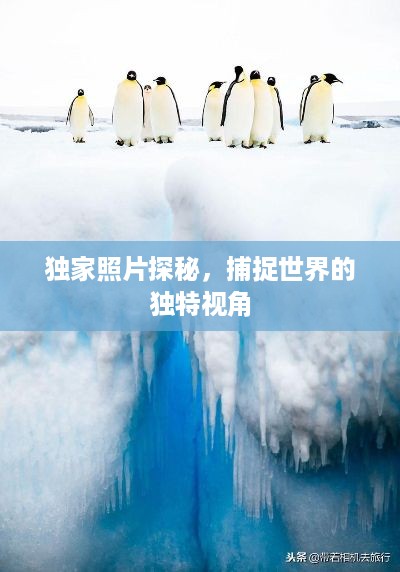 集思广益 第2页