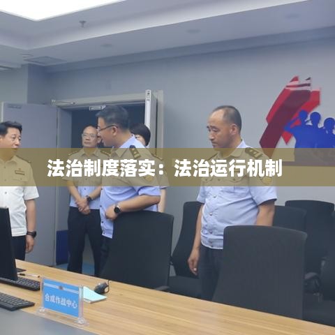 法治制度落实：法治运行机制 