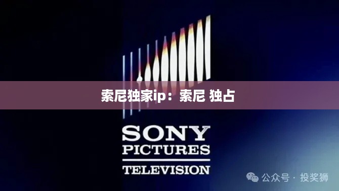衣不兼采 第2页