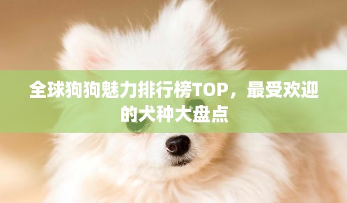 两袖清风 第2页