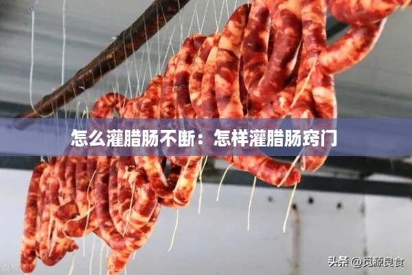 鸿飞雪爪 第2页