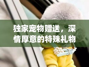 富贵荣华 第2页