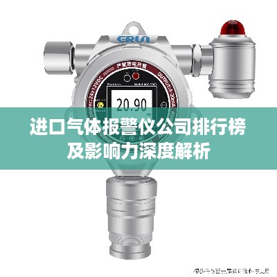 进口气体报警仪公司排行榜及影响力深度解析